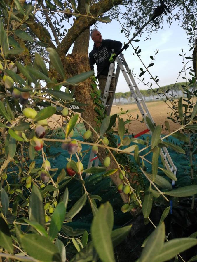 Il Podere Di Sole Roccastrada Kültér fotó