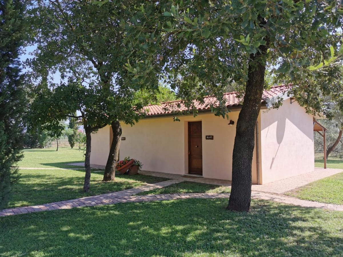 Il Podere Di Sole Roccastrada Kültér fotó